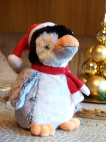 Tux im Winter